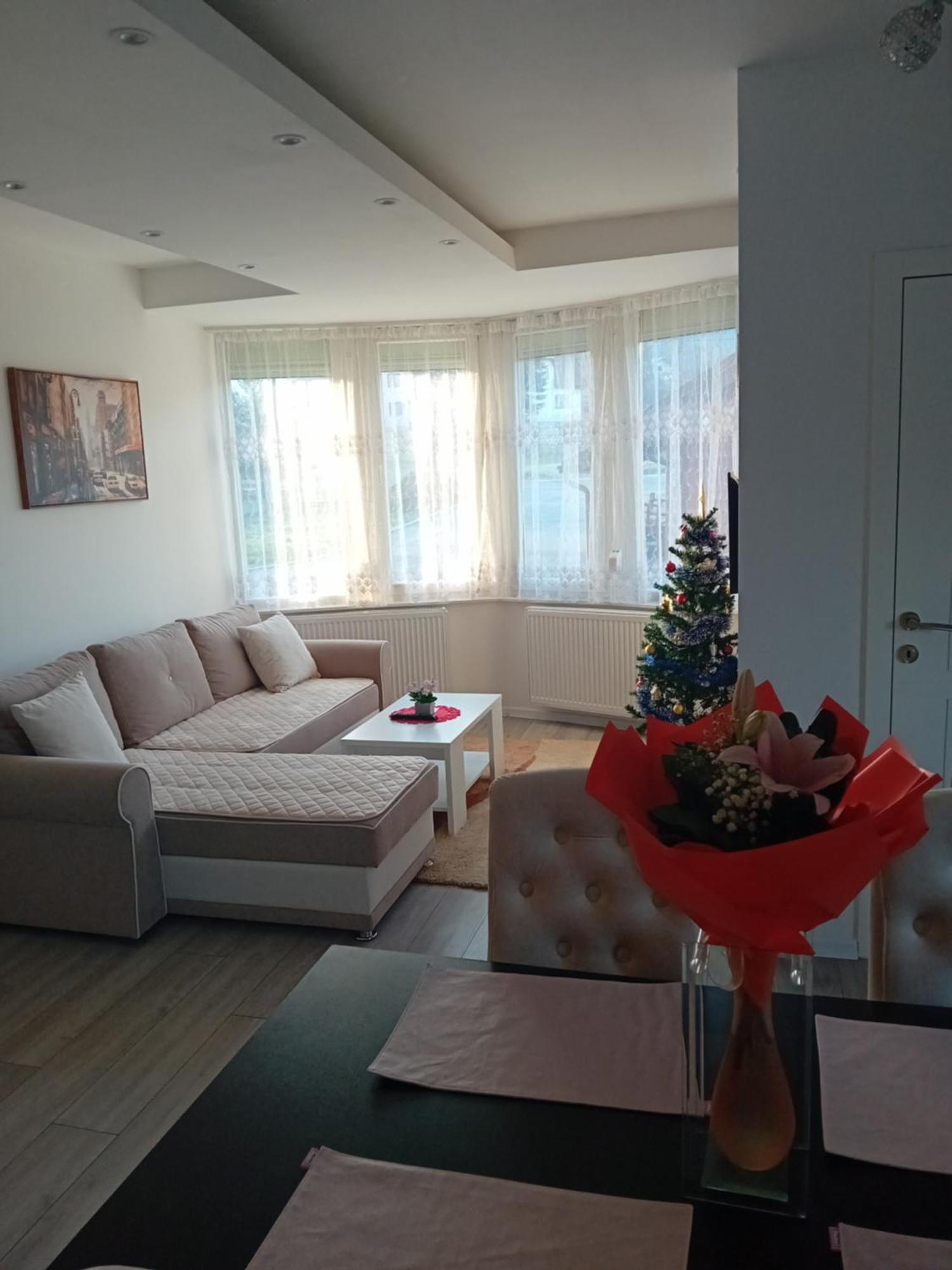 Apartment Cicovic *